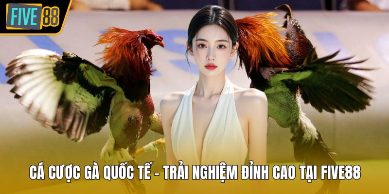 Cá cược gà quốc tế