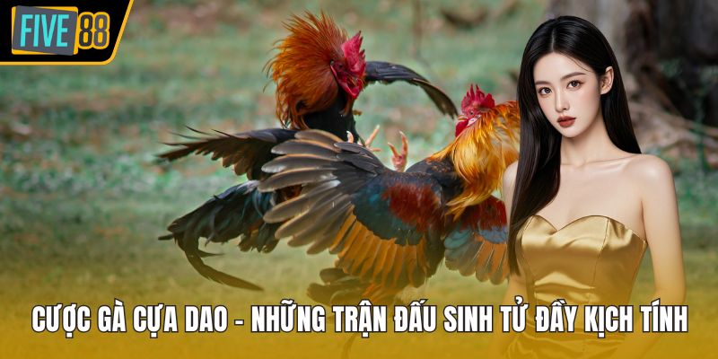 Cược gà cựa dao