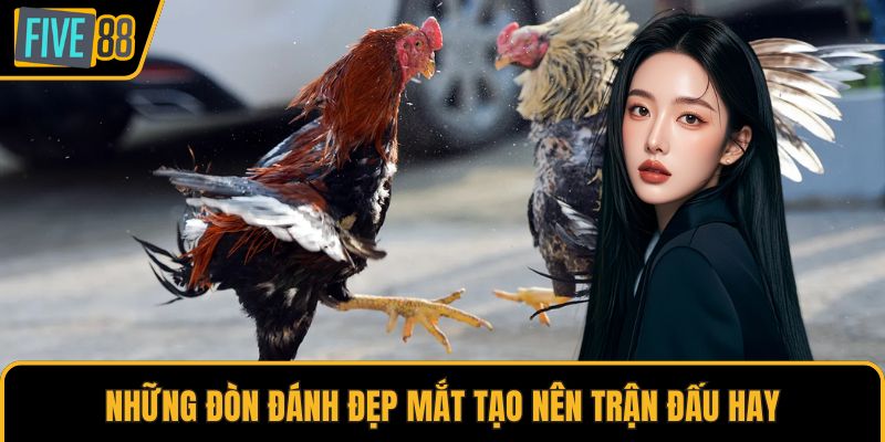 Những đòn đánh đẹp mắt tạo nên trận đấu hay