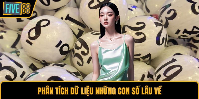 Phân tích dữ liệu những con số lâu về