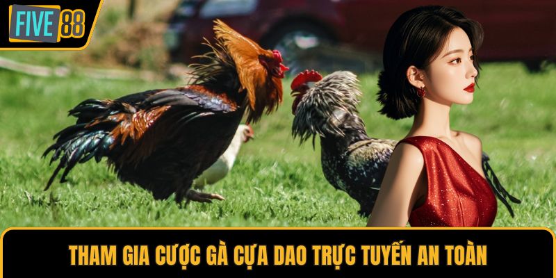 Tham gia cược gà cựa dao trực tuyến an toàn