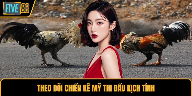Theo dõi chiến kê Mỹ thi đấu kịch tính