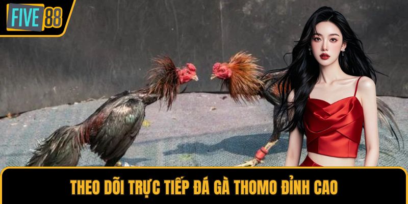 Theo dõi trực tiếp đá gà Thomo đỉnh cao